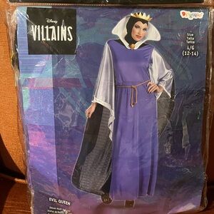 Disney Villains Costume